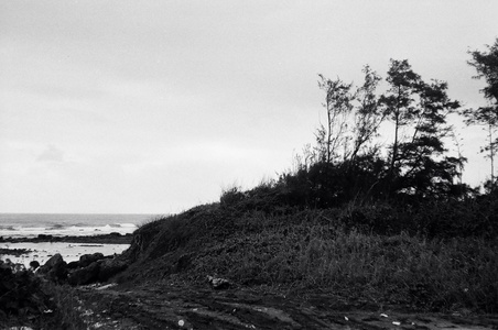 海島人─地景與生態