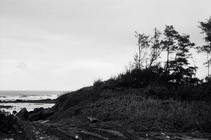 地景與生態組_蔡濟安_02_樹風