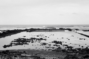 地景與生態組_蔡濟安_02_牡蠣島