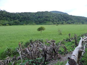 屏東縣牡丹鄉－旭海草原