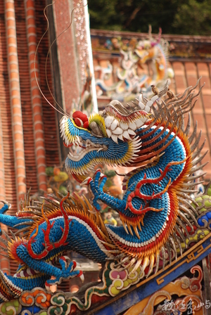 保安宮印象-神龍與雀鳥(陳旺展/2013年攝影)