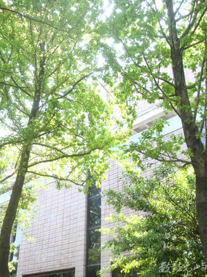 國圖之春光篇(photo by chc)