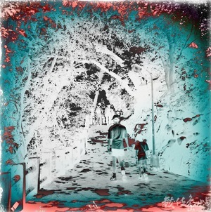 萬物靜觀：景美仙跡岩