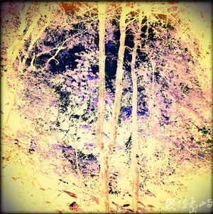 萬物靜觀：景美仙跡岩