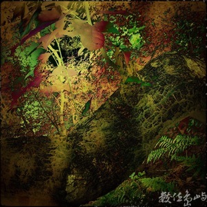 萬物靜觀：景美仙跡岩