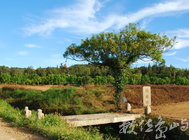 金門古官道-觀德橋/陳旺展 2013年拍攝