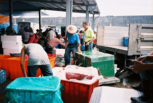 大溪漁港集錦-一