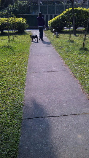 放學後，回家前