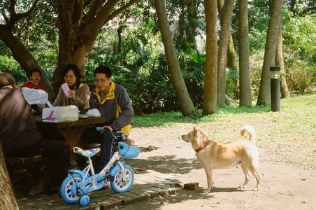 放學後，回家前