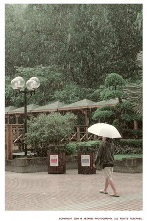 大雨