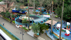 迷你樂園