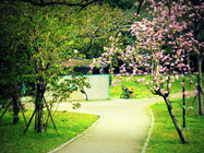 花香撲鼻˙公園