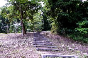 雲林縣古坑鄉－荷苞山