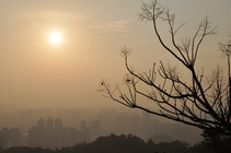 虎頭山環保公園