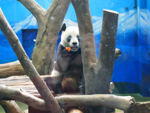 台北--木柵動物園
