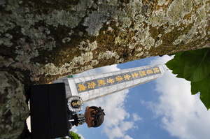 台南市玉井區 虎頭山余清芳紀念碑