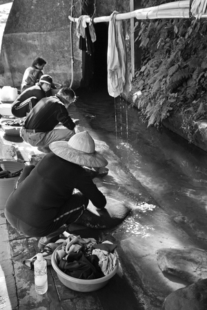 台灣拼圖得獎照片