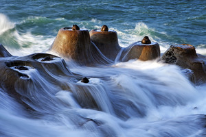 新北市萬里區－野柳燭台