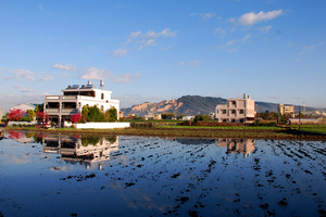 台中市后里區-泰安村田園風光