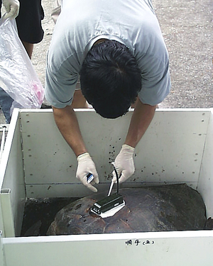 裝置人造衛星發報器