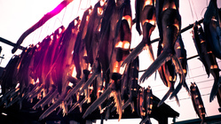 台東縣蘭嶼鄉－上天的恩典，飛魚。