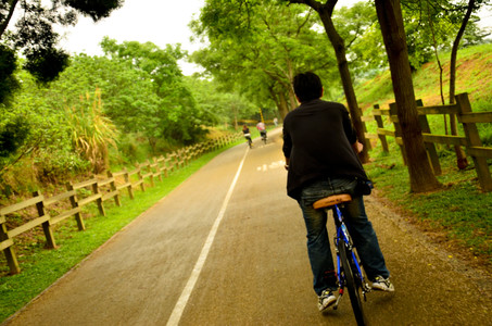 台灣拼圖-台中市