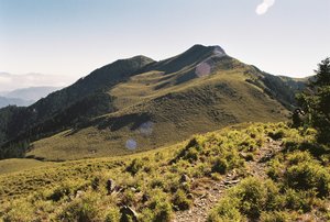 苗栗縣泰安鄉-大雪山草坡