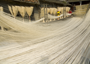 彰化縣福興鄉-曬麵線