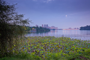 高雄市鳥松區-澄清湖