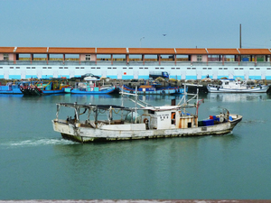 桃園縣大園鄉-討海人