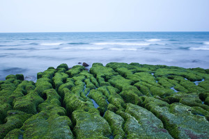 新北市石門區-老梅石槽之三