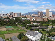 台北-城市淨土/陳旺展 2012年拍攝