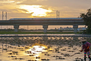 台南市官田區─高鐵與菱角田