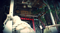 台南市仁德區-二空圓夢樹屋