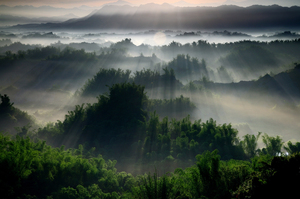 台南市左鎮區-二寮水墨之境