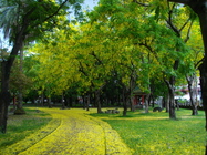 屏東縣潮州鎮－中山公園