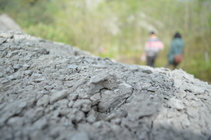 台南市龍崎區─牛埔村─花泥