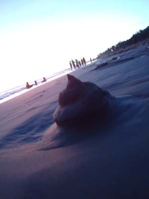 台南安平邱茂園