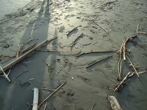 光和影子在玩遊戲