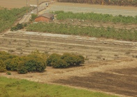 台南市新化區─青黃農田(知母義林場)