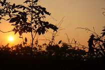 南投縣名間鄉 松柏嶺