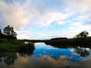 臺北市北投區-關渡自然公園