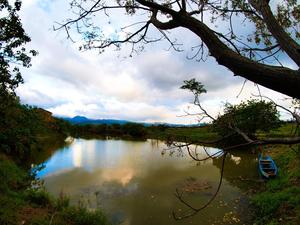 臺北市北投區-關渡自然公園