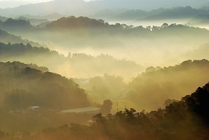 苗栗縣造橋鄉－古道日出