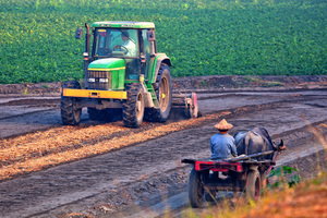 屏東縣新園鄉-交會