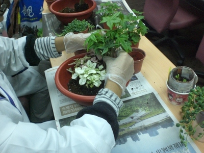 增進福祉的園藝療法（本相簿作品皆經作者授權）