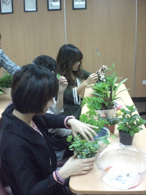 增進福祉的園藝療法（本相簿作品皆經作者授權）