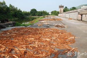中國采風-廣州開平雕樓 常民生活/陳旺展 2012年拍攝