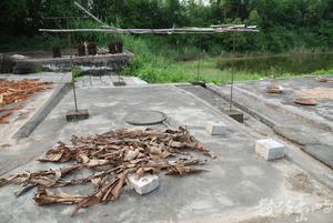 廣州開平碉樓自力村景/陳旺展 2012年拍攝