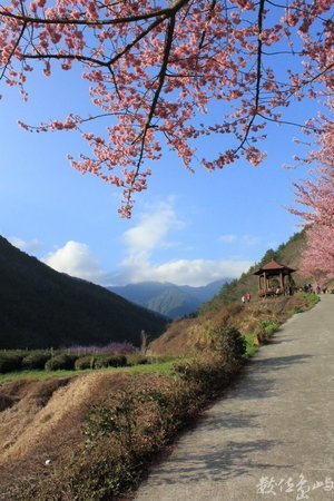 台中市和平區─武陵農場─山重水複疑無路，柳暗花明又一村